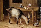 A Goat and Pigeons In a Farmyard by Edgar Hunt